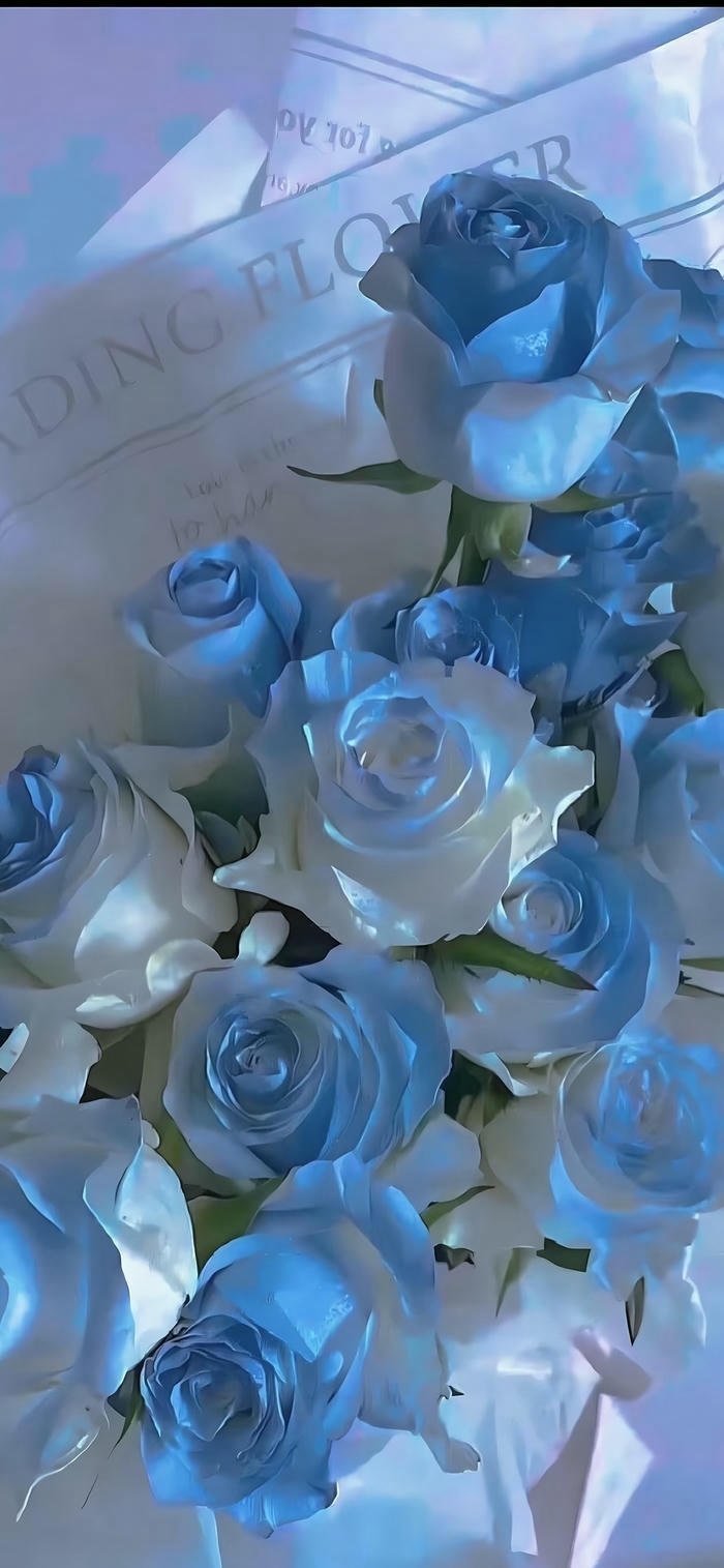 hình nền hoa hồng xanh