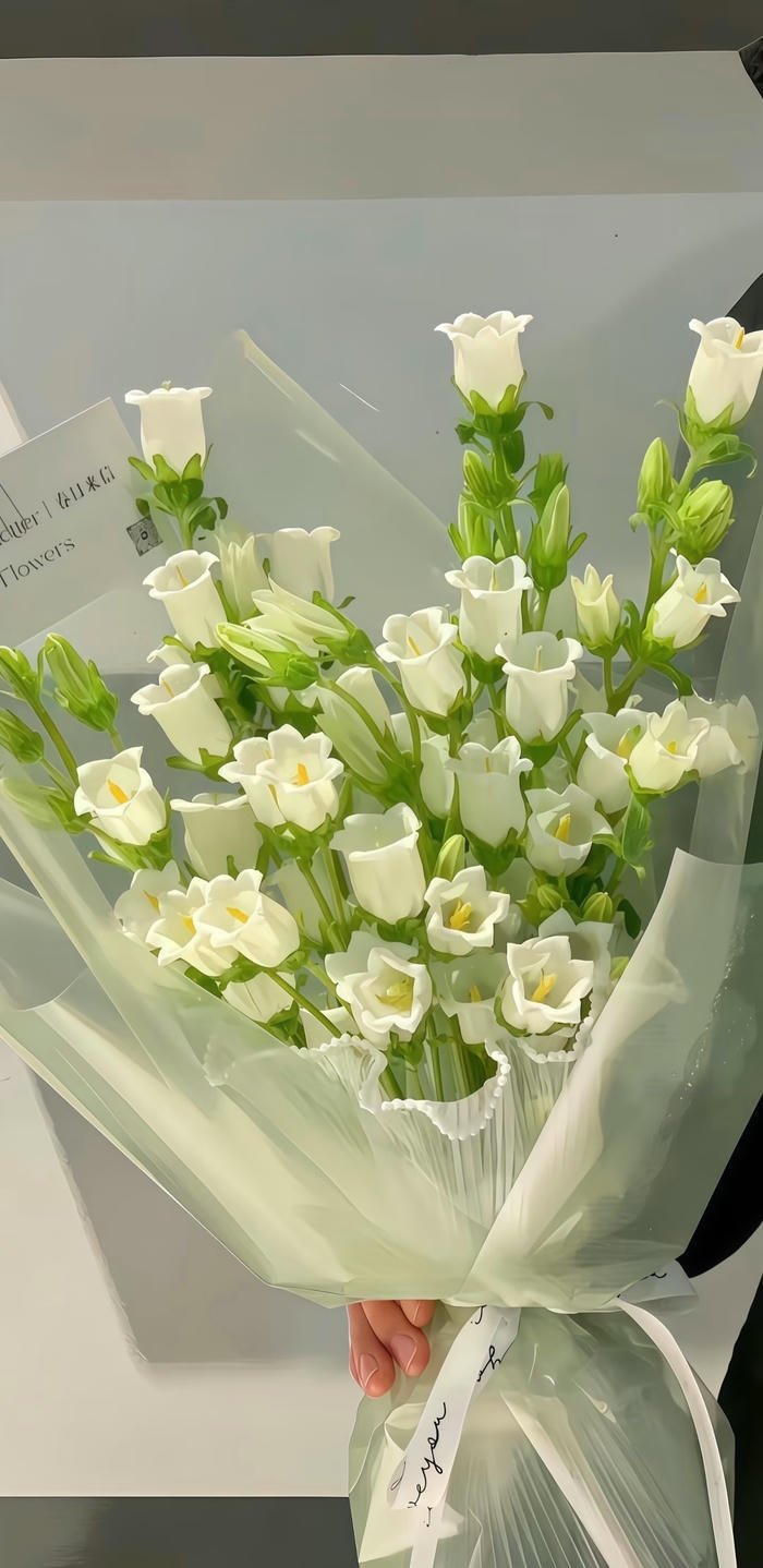 hình nền hoa linh lan