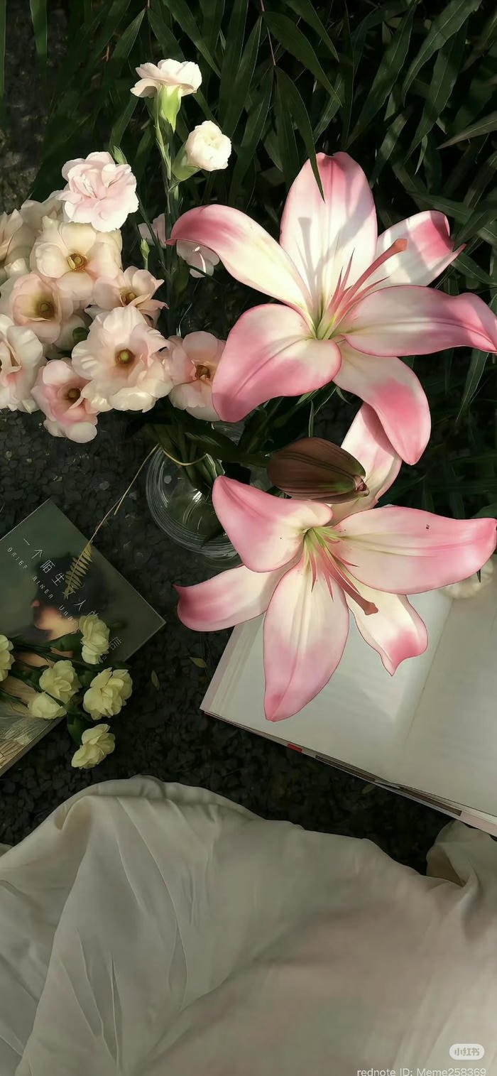 hình nền hoa mùa xuân