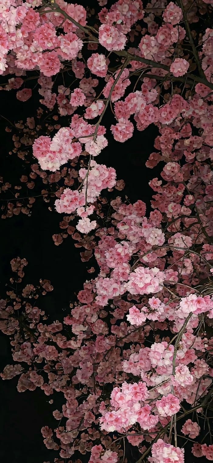 hình nền hoa nở đẹp nhất