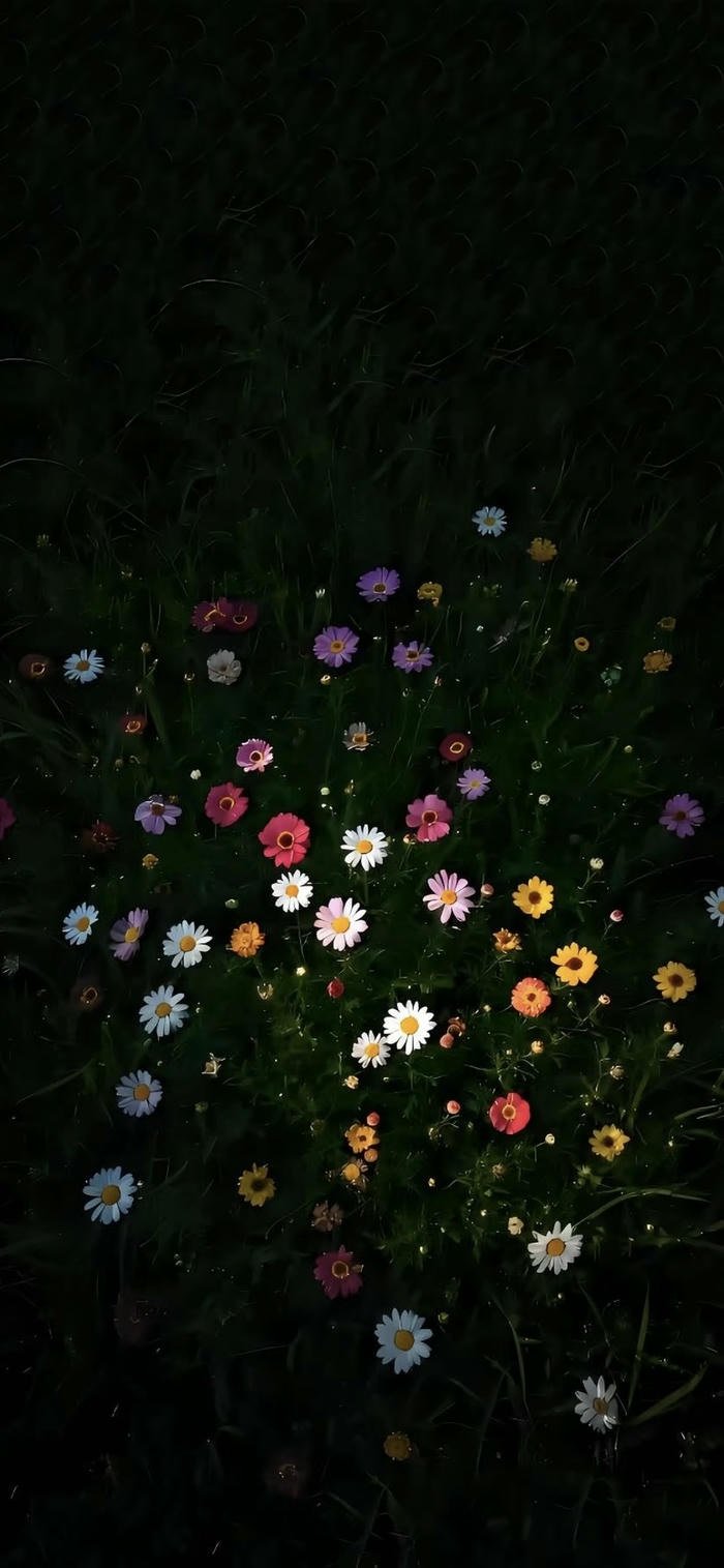 hình nền hoa thiên nhiên