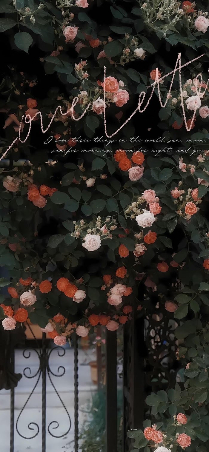 hình nền hoa vintage