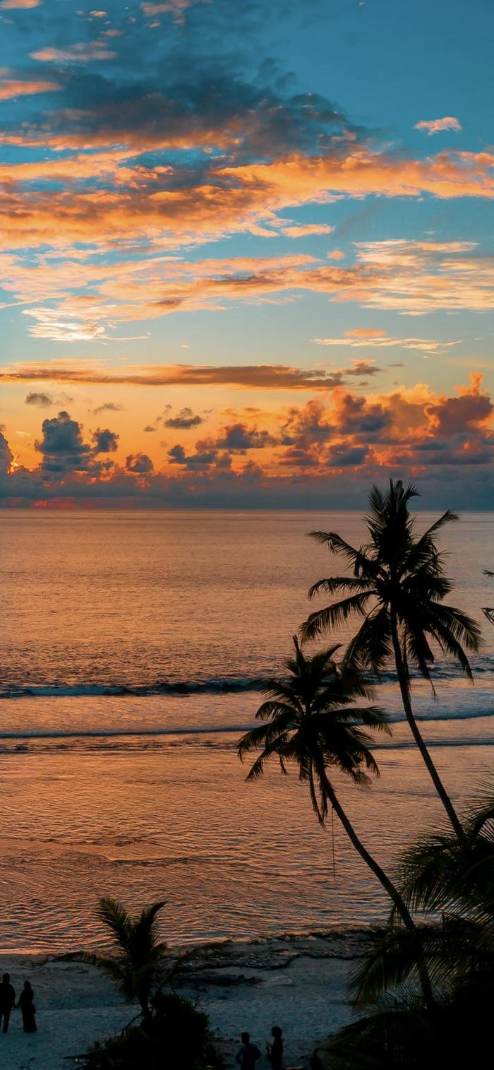 hình nền hoàng hôn bờ biển
