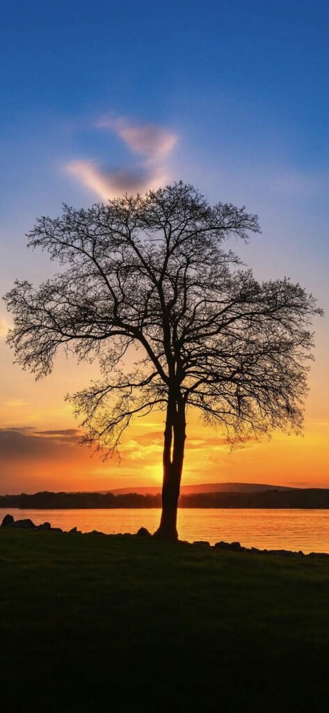 hình nền hoàng hôn lãng mạn đẹp