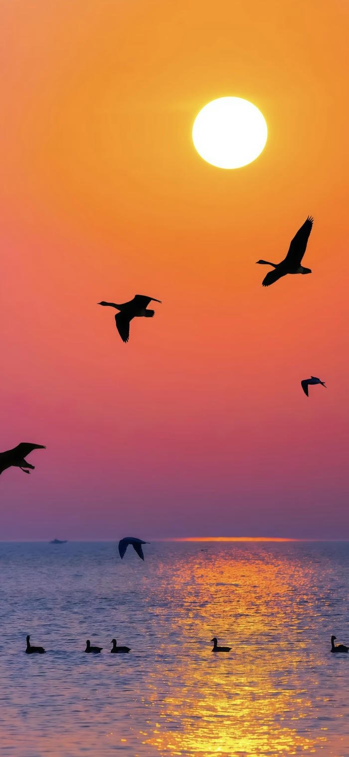 hình nền hoàng hôn lãng mạn