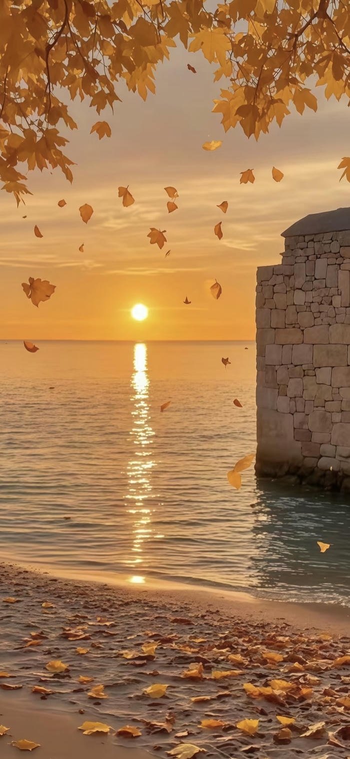 hình nền hoàng hôn rực rỡ