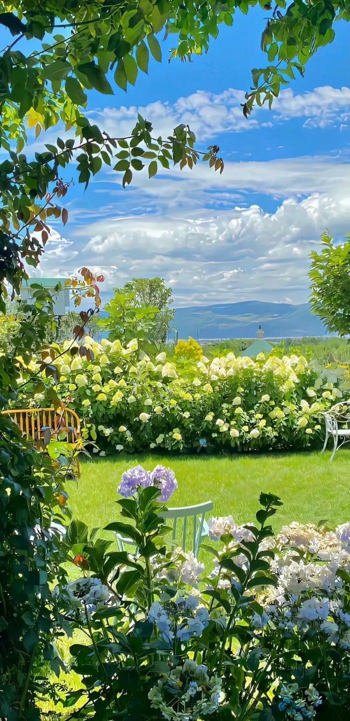 hình nền khu vườn đẹp