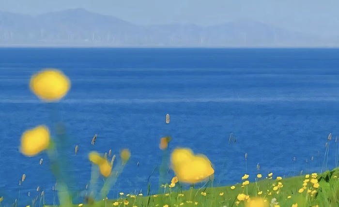 hình nền máy tính biển xanh