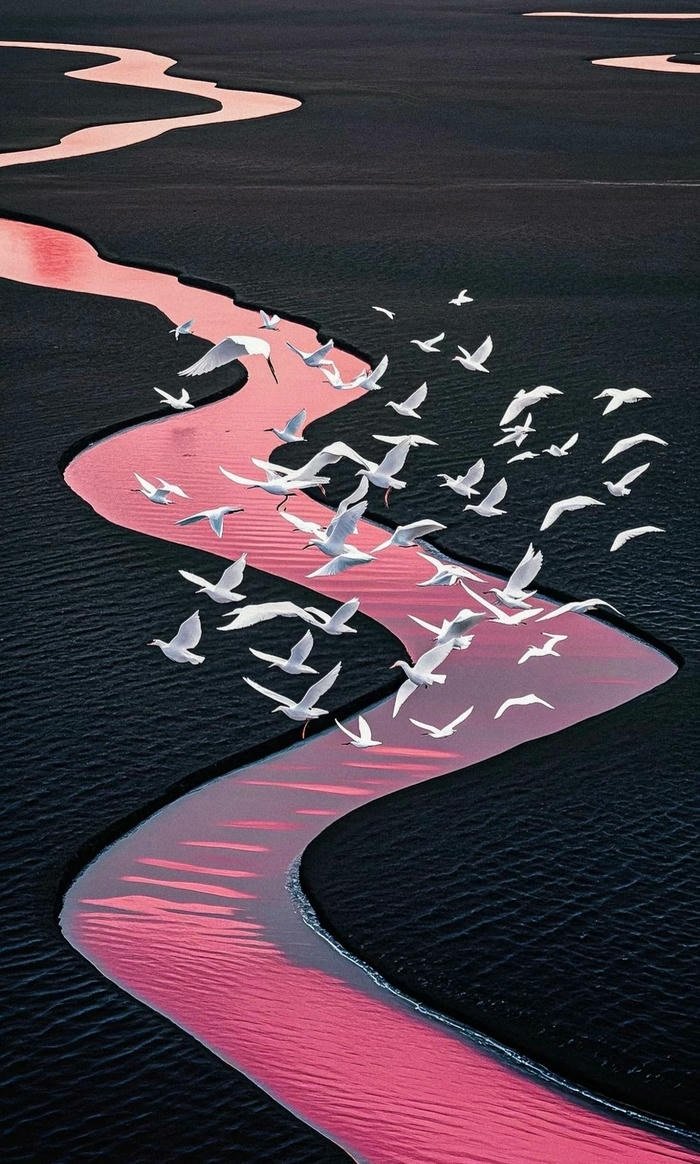 hình nền nghệ thuật đẹp