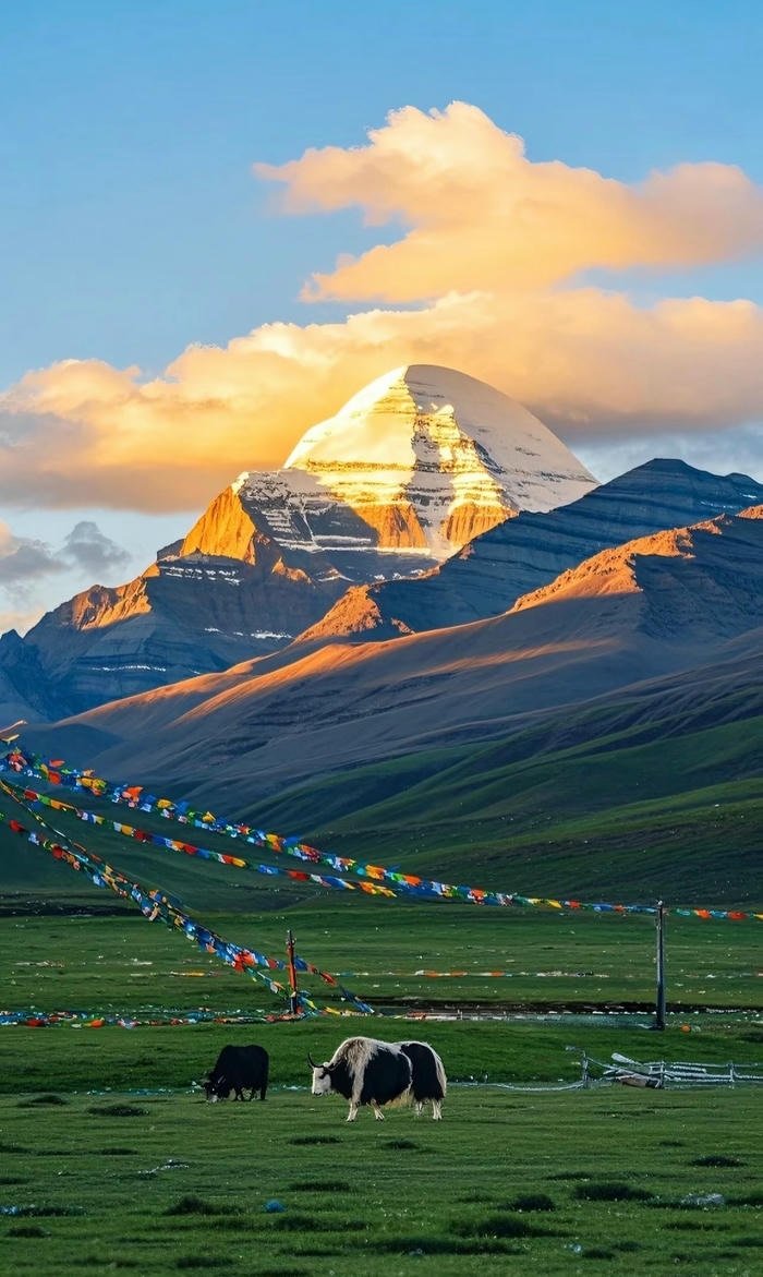 hình nền nghệ thuật thảo nguyên đẹp