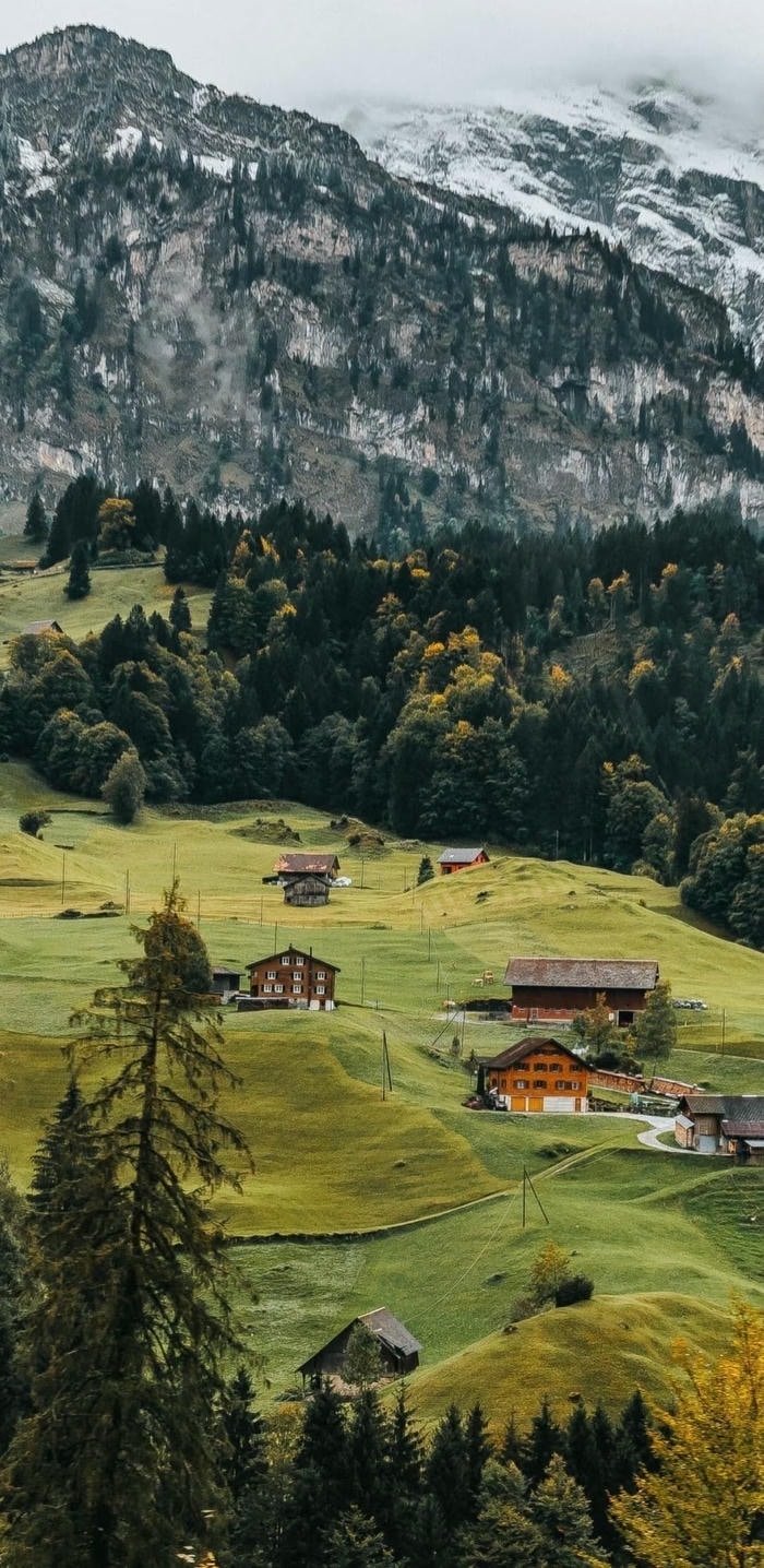 hình nền nhà trên thảo nguyên