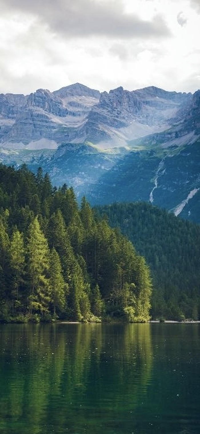 hình nền núi rừng sương sớm