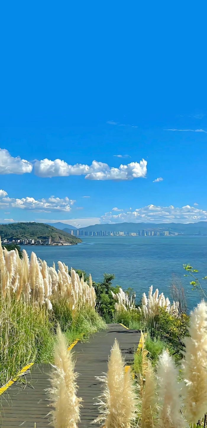 hình nền phong cảnh đường trên biển hình nền phong cảnh đường trên biển