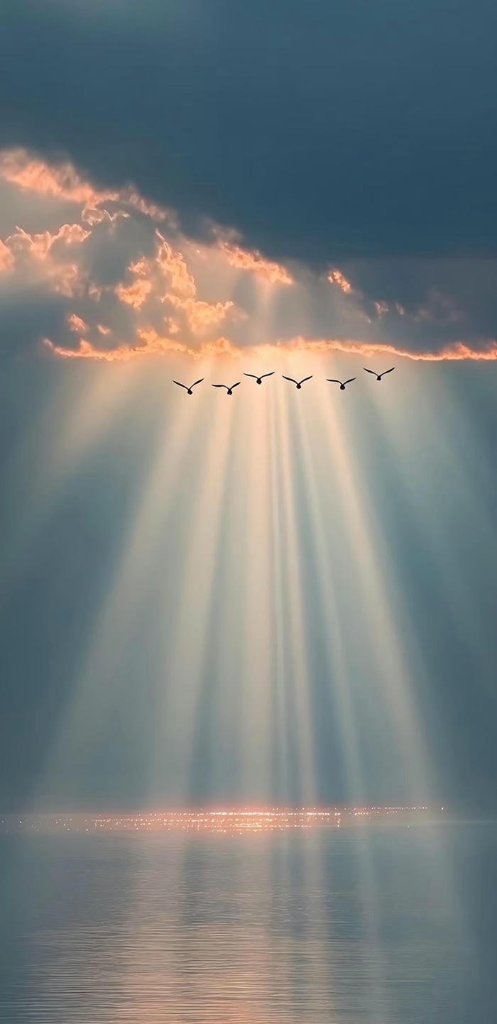 hình nền phong cảnh nắng chiếu mặt biển hình nền phong cảnh nắng chiếu mặt biển