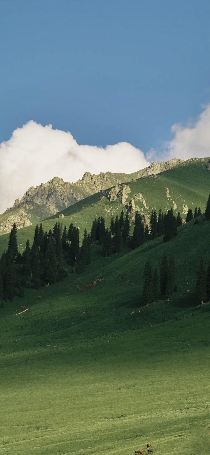 hình nền phong cảnh rừng núi