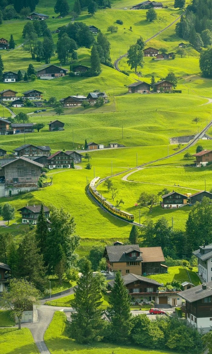 hình nền phong cảnh thảo nguyên hình nền phong cảnh thảo nguyên