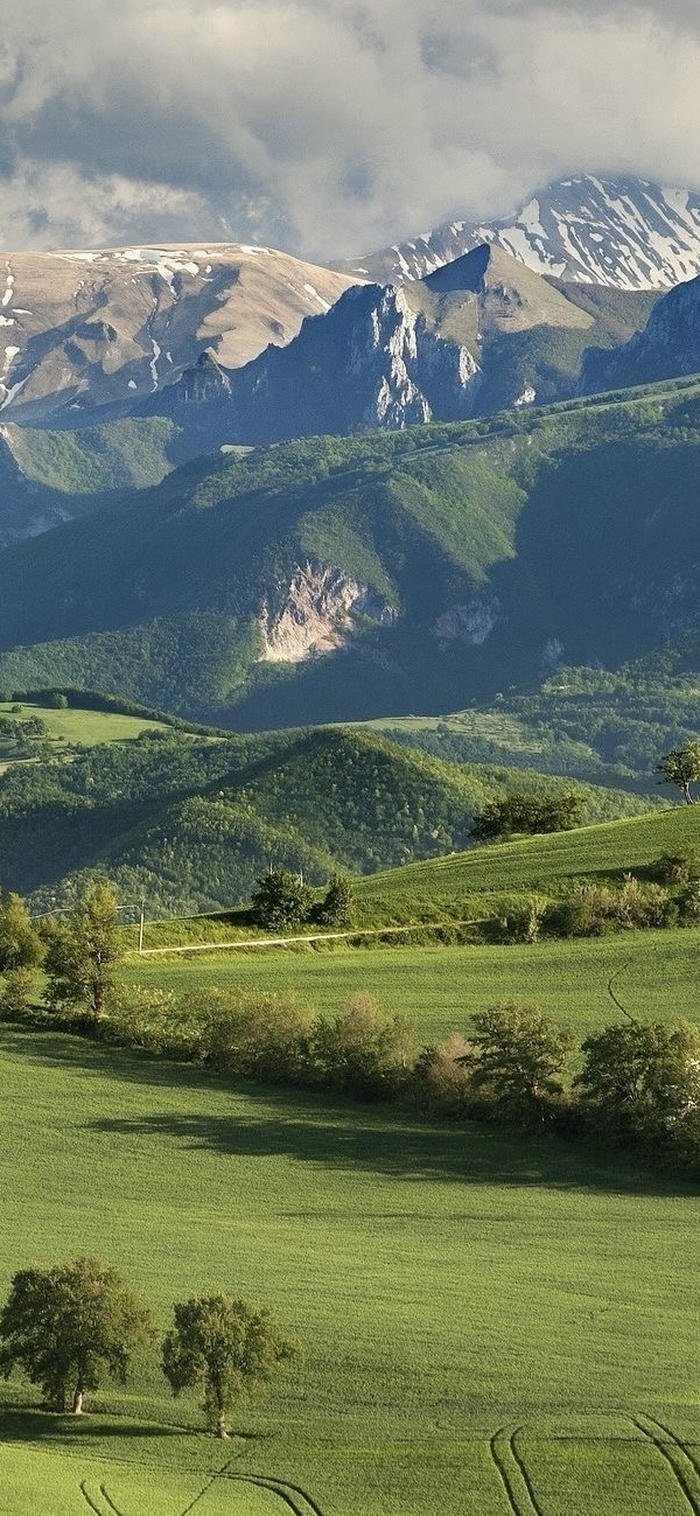 hình nền rừng núi hoang sơ