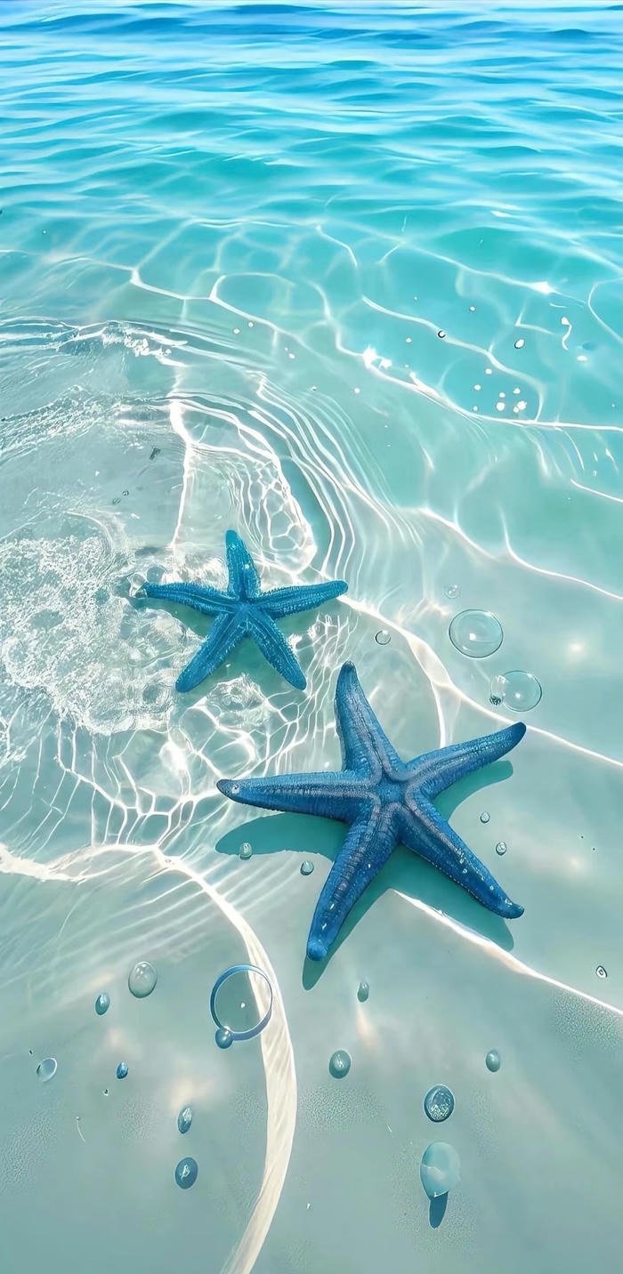 hình nền sao biển