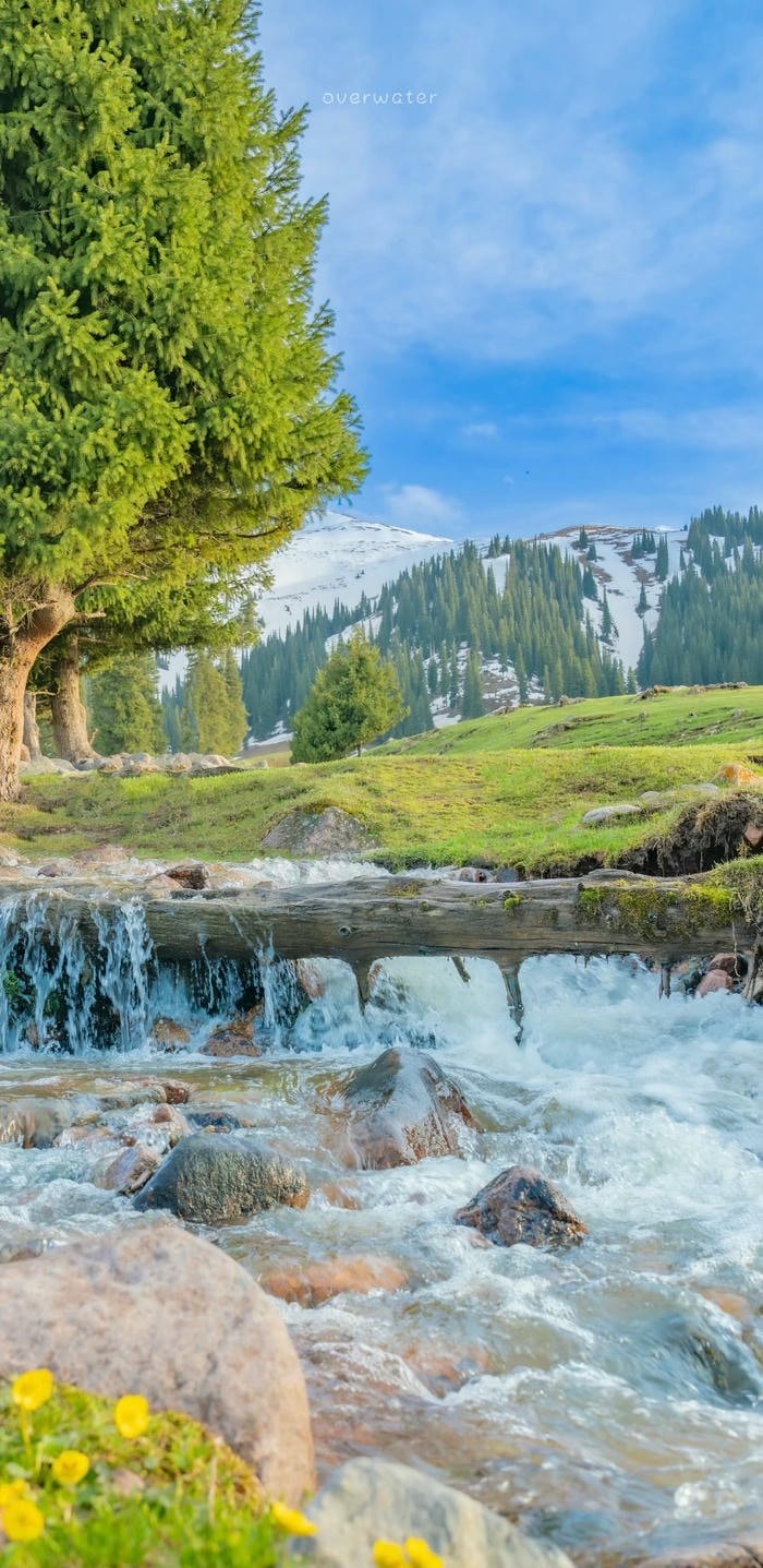 hình nền suối chảy