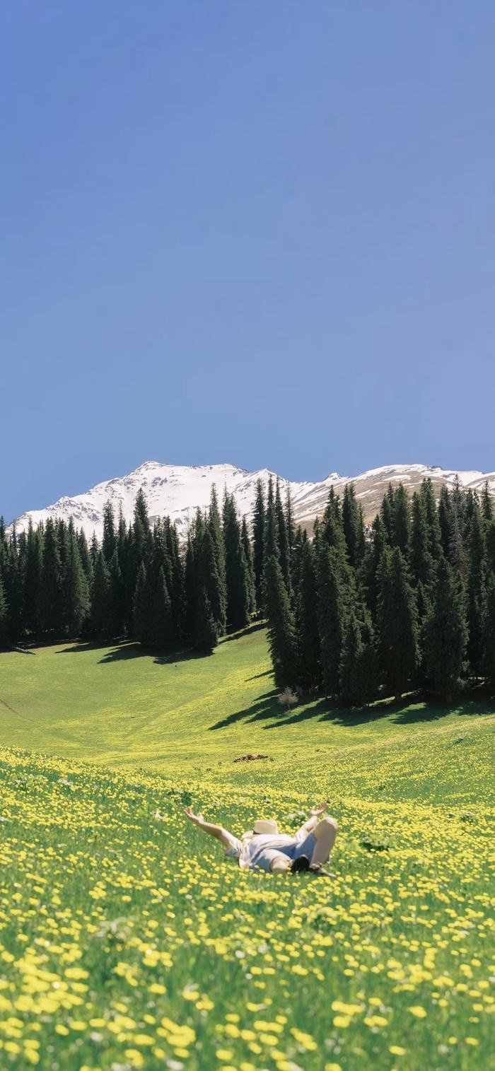 hình nền thảo nguyên