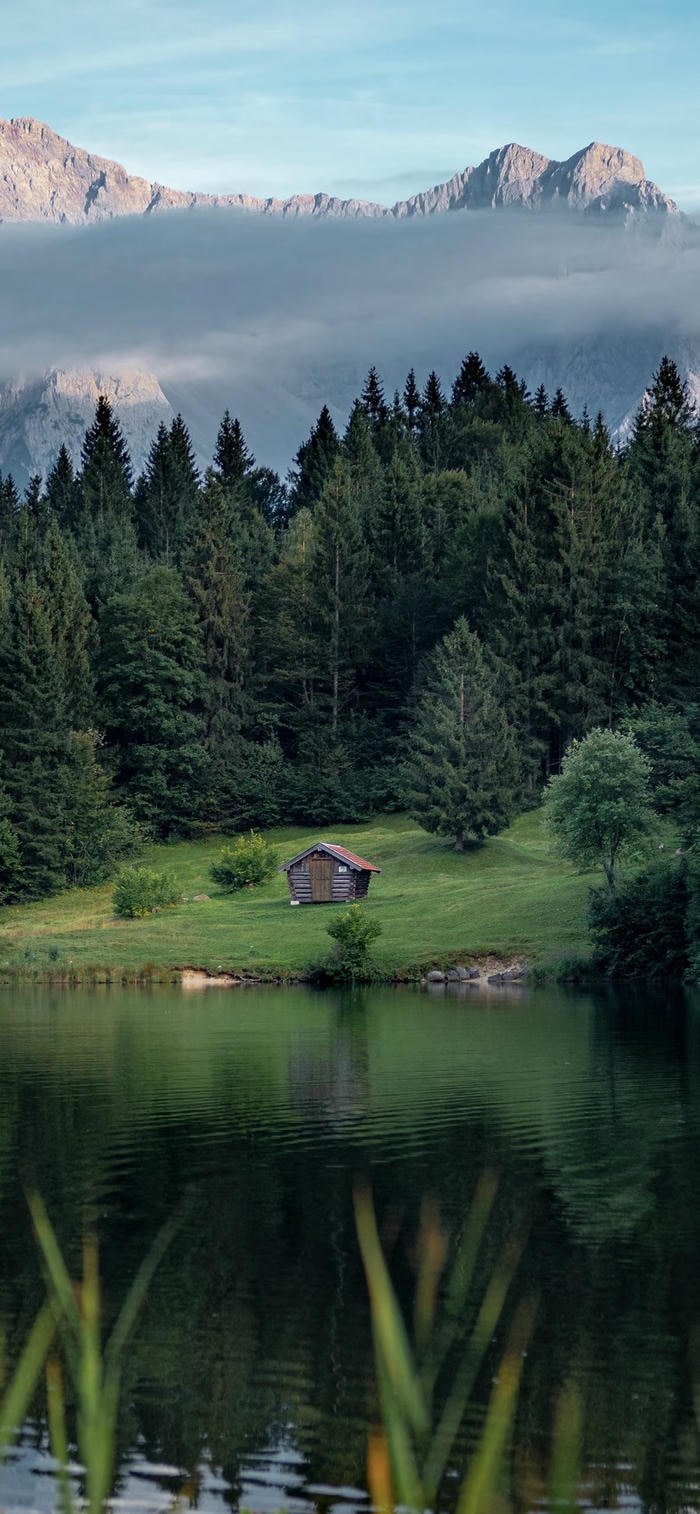 hình nền thảo nguyên thơ mộng