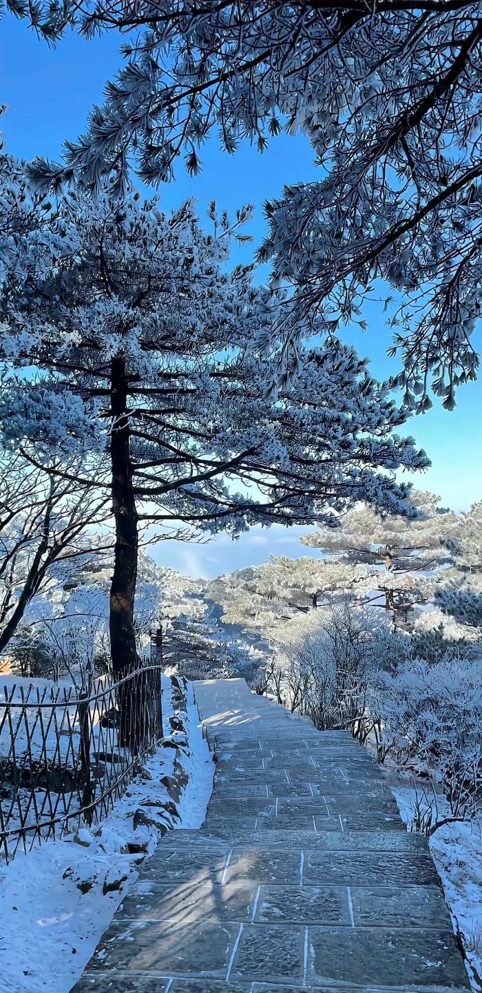 hình nền thiên nhiên mùa đông