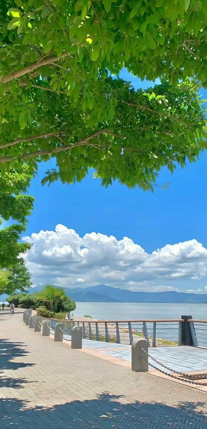 hình nền thiên nhiên trong xanh