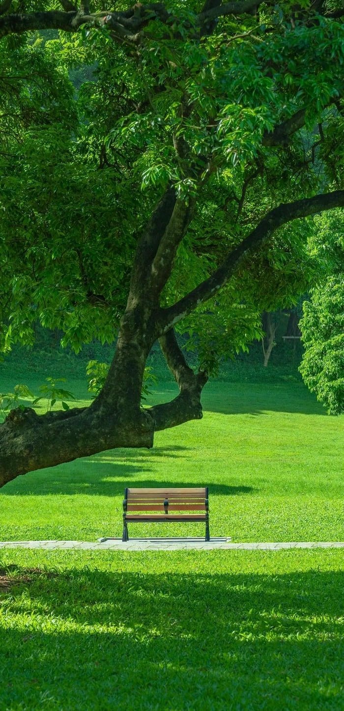 hình nền thiên nhiên đẹp