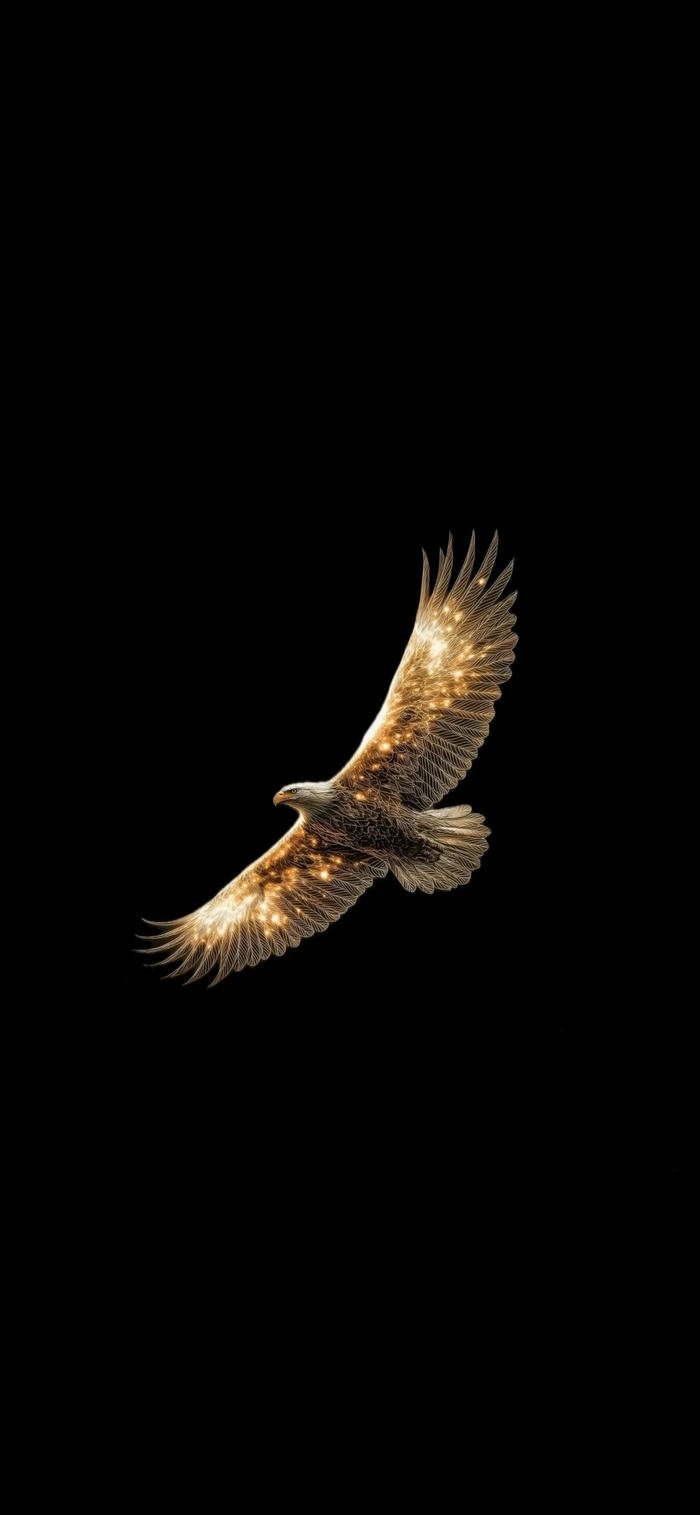 hình nền tối background hình nền tối background