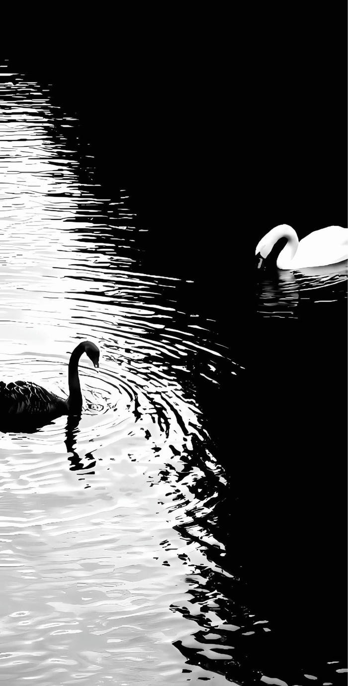 hình nền tối minimal sắc nét