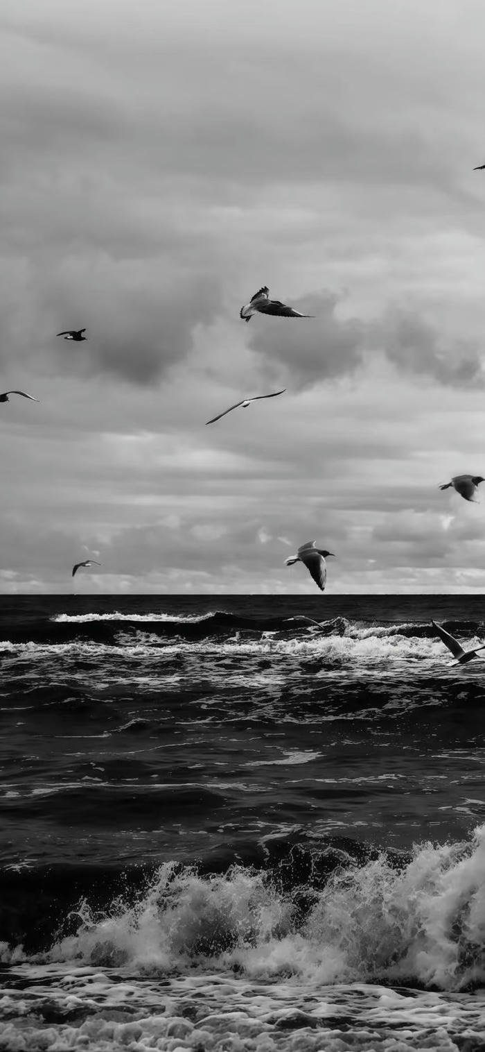 hình nền tối trên biển hình nền tối trên biển