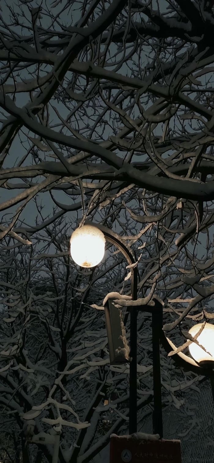 hình nền trời mùa đông