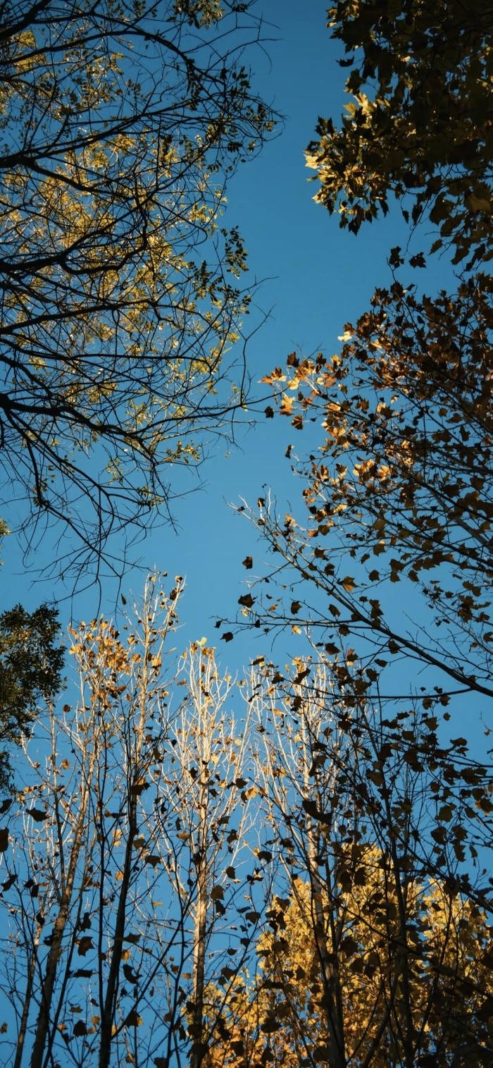 hình nền trời mùa thu