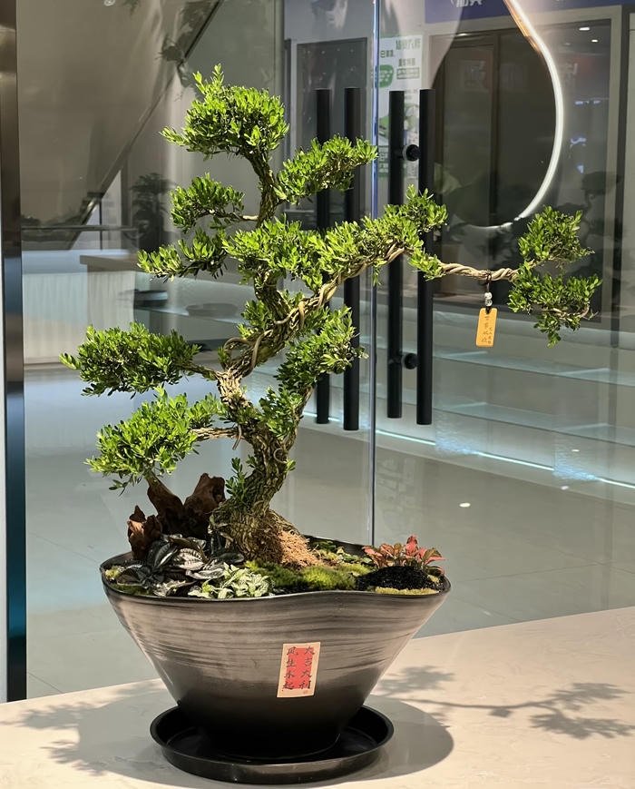 hình phong thuỷ làm sạch tà khí