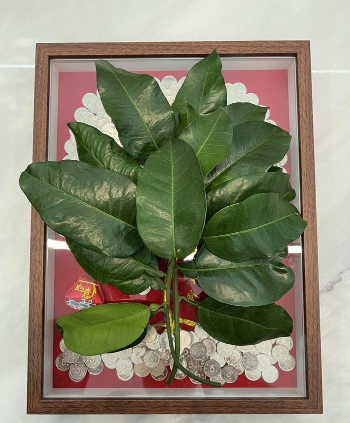 hình phong thuỷ tài lộc hình phong thuỷ tài lộc