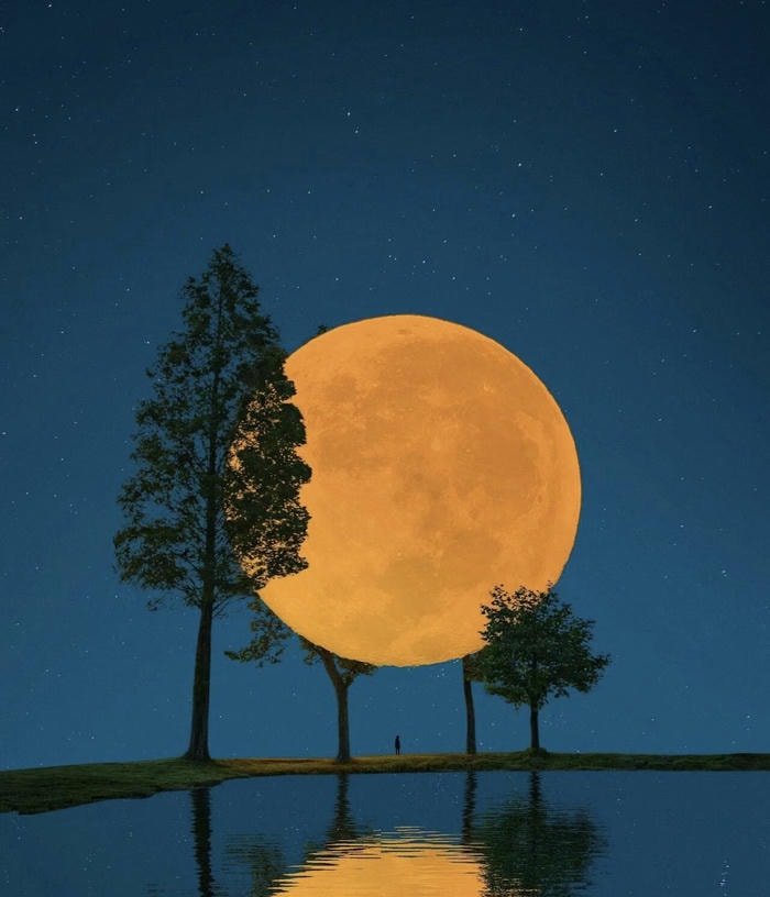 hình tối giản thẩm mỹ