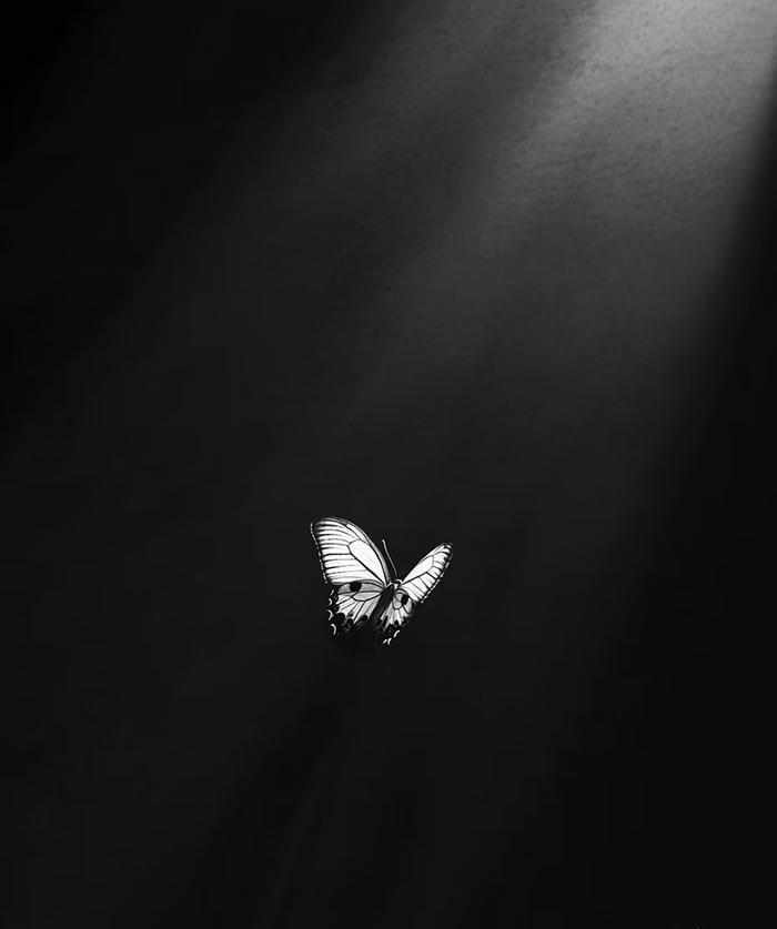 màu sắc minimal hài hòa