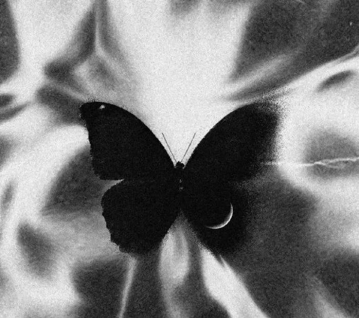 nét tối u tối