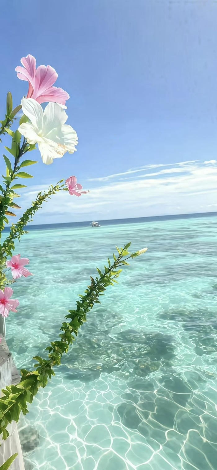 những hình nền biển xanh thiên nhiên đẹp