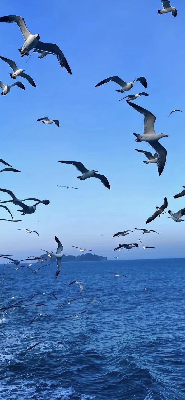 những hình nền biển xanh thiên nhiên