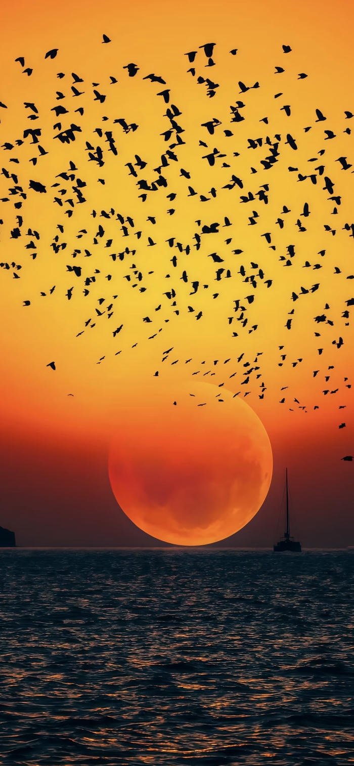 những hình nền phong cảnh hoàng hôn chill