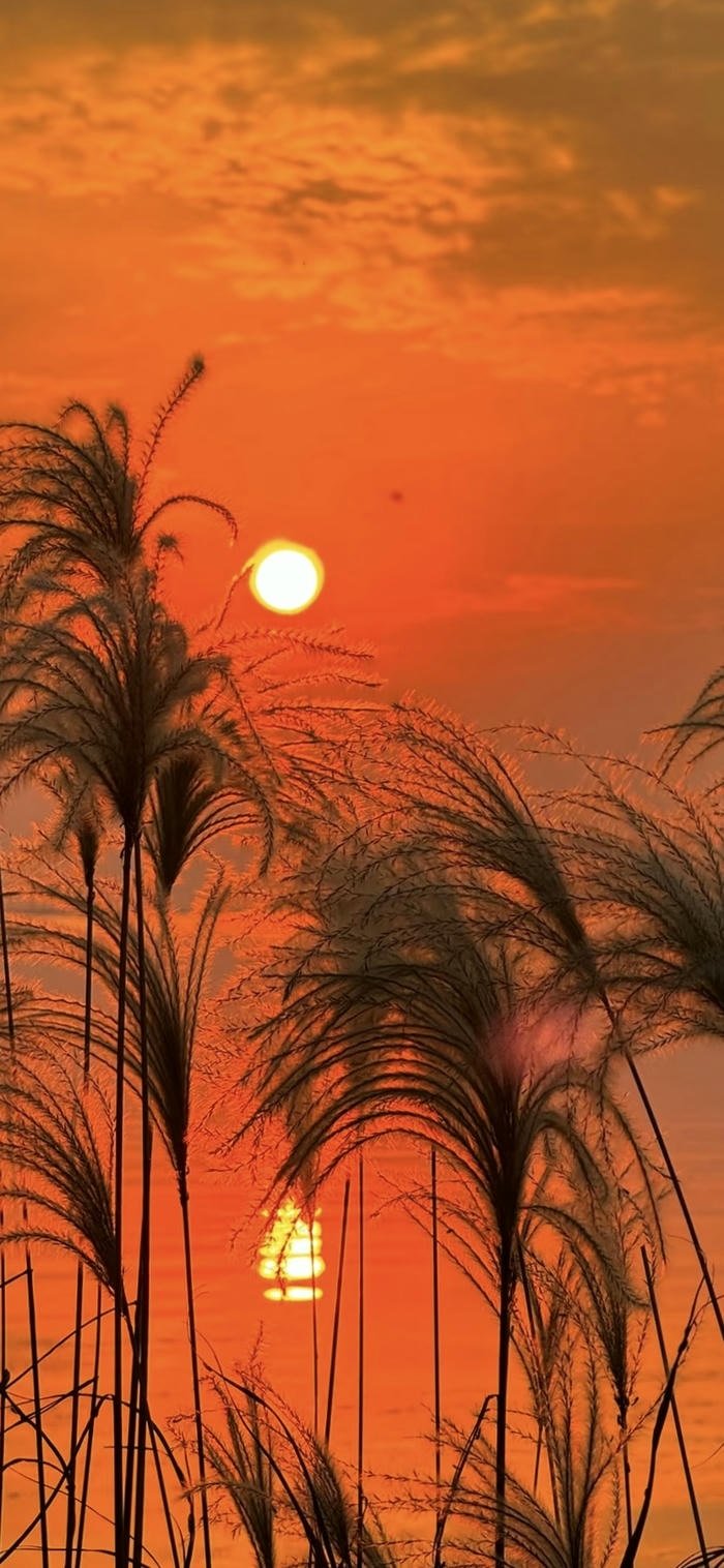 những hình nền phong cảnh hoàng hôn