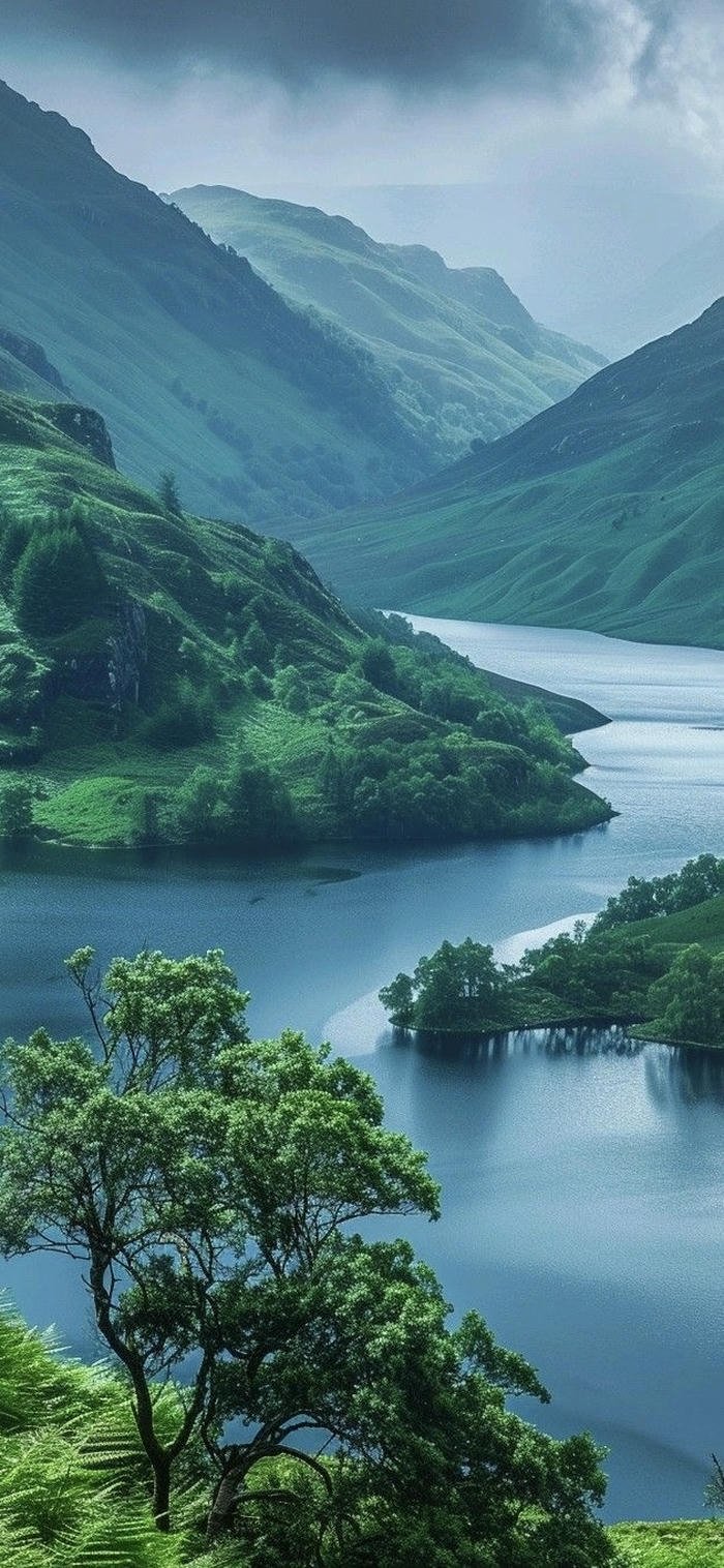 những hình nền rừng núi mờ ảo