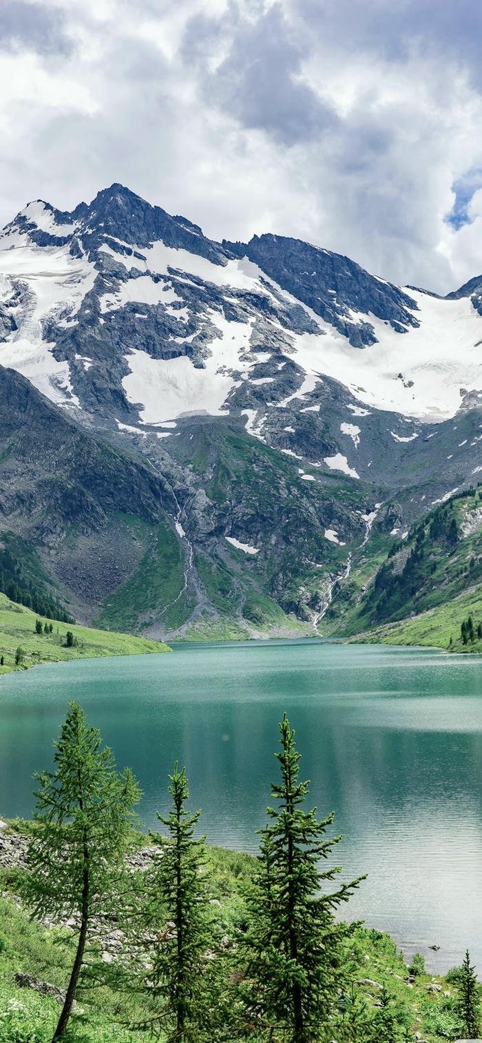 những hình nền rừng núi mùa đông