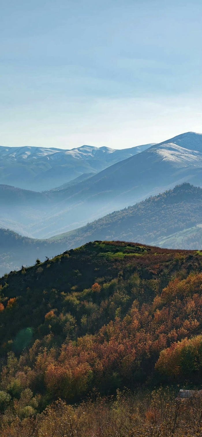 những hình nền rừng núi ngút ngàn