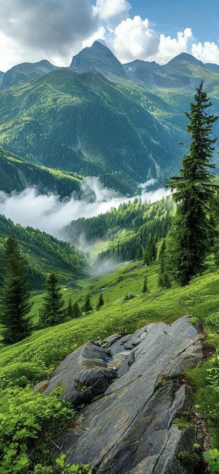 những hình nền rừng núi thơ mộng