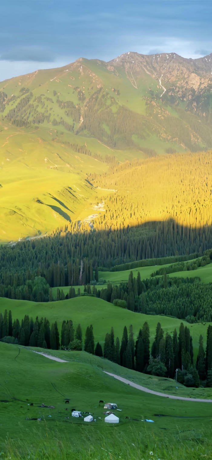 những hình nền thiên nhiên núi rừng