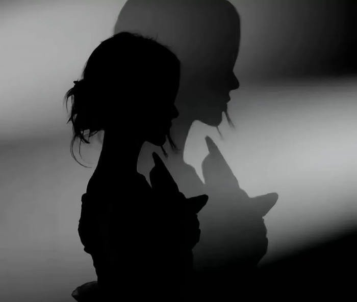 tông tối giản trang nhã