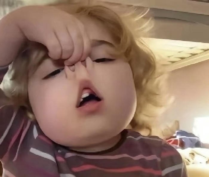 Ảnh avatar meme vui nhộn dễ nhìn