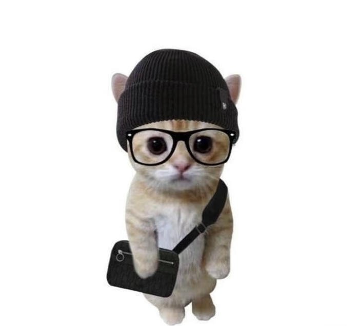 Ảnh avatar meme vui nhộn phong cách trẻ